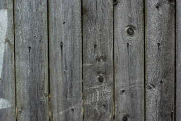 Naklejka premium A very shabby old grey-brown fence, abandoned and forgotten, a background of wooden planks, in the style of rustic, grunge, old fashion
