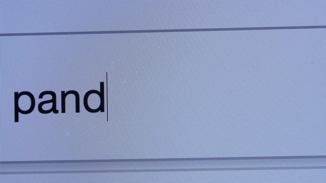 Pandemic internet search bar