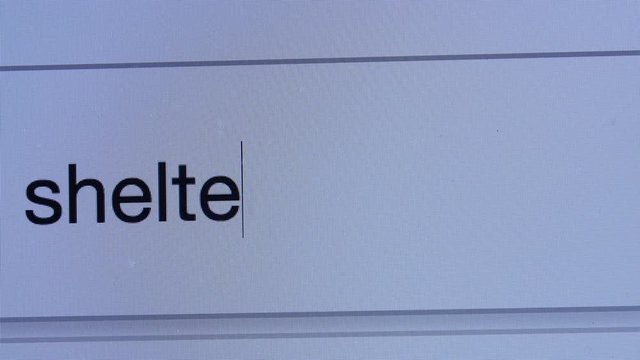 Shelter in Place internet search bar
