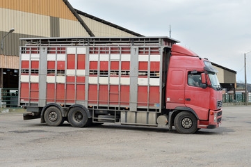 Camion de transport d'animaux à double étage