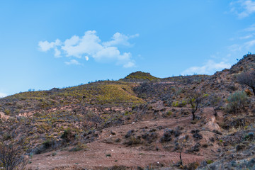 landscape on the Jorairatar river (Spain)