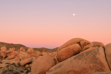 Sunset and moonrise at Joshua Tree National Park - 332005063