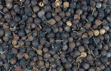 Pepper beans cubeba bright close-up