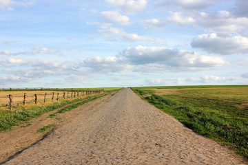 A dirt road through a pasture, green and crop agricultural fields. Blue cloudy sky before the rain. Quiet Summer landscape