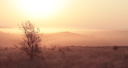 Fototapeta na wymiar magical early morning with fog
