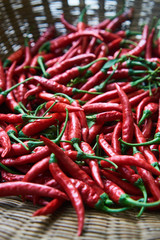 Red chilli in basket close up background