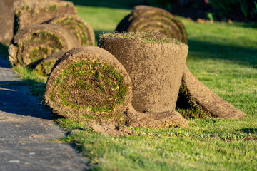 Rolls of fresh sod ready for planting