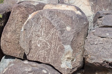 Three Rivers Petroglyph Site in New Mexico, prehistoric Jornada Mogollon rock art. 