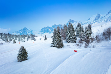 Ski slopes and firs at winter in Mont-Blanc, Chamonix region, Auvergne-Rhone-Alpes in south-eastern France