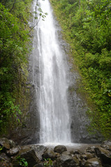 Obraz premium waterfall in forest