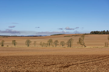 The Freshly ploughed, rolling fields in the Scottish Countryside in the small foothills of the Angus Glens on a bright Spring Morning.