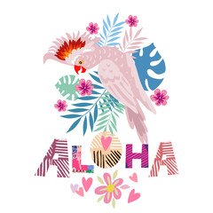 Aloha card 3