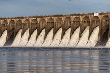 Spillways at Wilson Dam