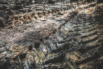 Wheel track on wet dirt close up
