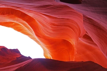 Fototapeten Antilope Antilopenschlucht  © Bailey