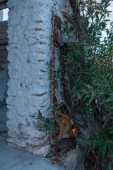 old mechanism of an old mill