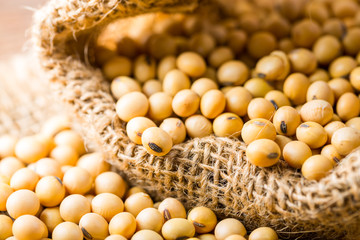 Soy bean in sack clothes close up.
