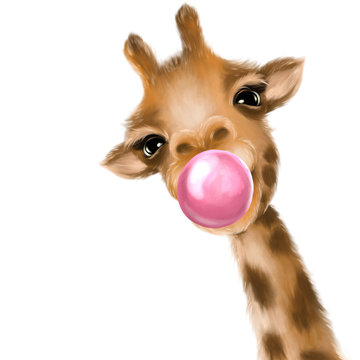 Funny giraffe blowing bubble. Hand drawn giraffe illustration