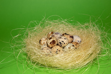 Easter quail eggs in the decorative nest on green background. Easter concept. Happy Easter greeting card.