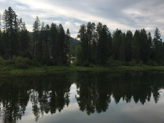 reflection of trees in the lake