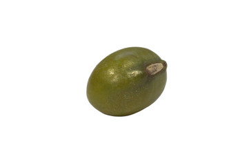 Macro photography of mung bean isolated