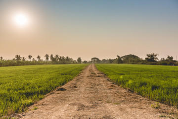 Fototapeta premium Rural way and sunset sky in Thailand