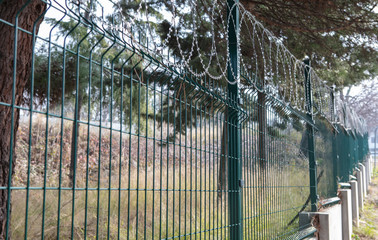  Razor wire with its sharp steel barbs on top of a wire