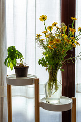 Vaso con pianta di basilico e mazzo di fiori