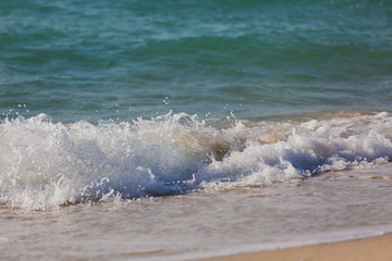 Fototapeta premium Tropical beach white sand, blue clear ocean water. sea foam on the beach on a sunny day. sea waves on the shore. surf breaking on shore at sunset