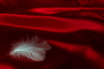White feathers on red cloth