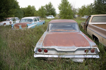New Chevrolets and 1960's cars, never before run, rotting in farm field near Norfolk, Nebraska