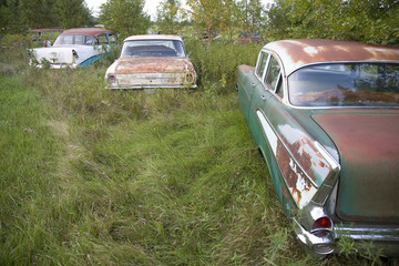 Obraz na płótnie Canvas New Chevrolets and 1960's cars, never before run, rotting in farm field near Norfolk, Nebraska