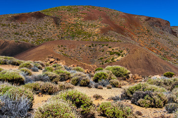 Fototapeta na wymiar Kraterlandschaft auf Teneriffa