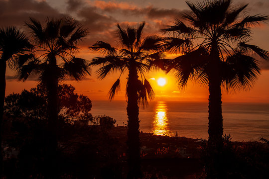 Sonnenuntergang mit Palme Las Arenas Teneriffa