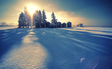 winter landscape with farm bins and  trees