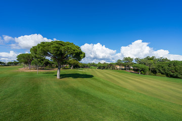Fototapeta na wymiar Beautiful, empty golf course with blue sky and green grass with tree