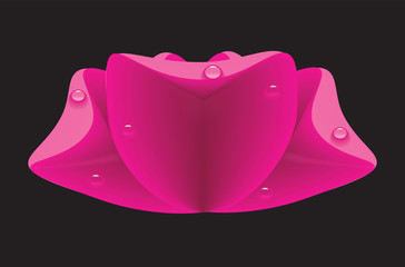 Abstract image of Pink flower with drops of water on the petals