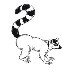 Lemur icon outline - obrazy, fototapety, plakaty