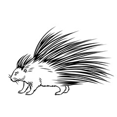 Porcupine outline icon