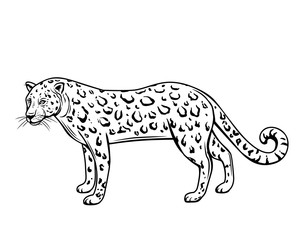 Leopard outline animal