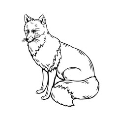 Animal fox outline illustration