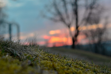 Spring