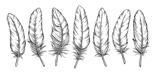 Sketch feathers set © setory
