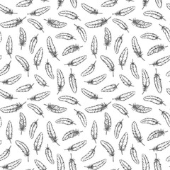 Feather seamless pattern