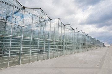 Fototapeta premium view of a greenhouses with dark clouds, outside, glass facade