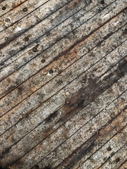 Obraz premium Wood Texture