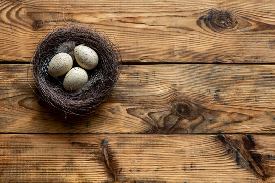 A quail egg on a wooden background on nest