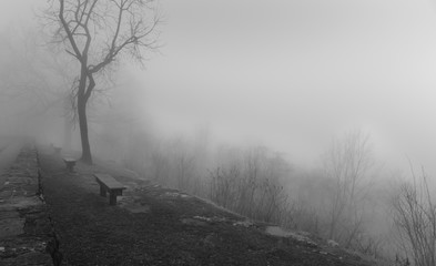 Foggy on the top on Monte Sano mountain 