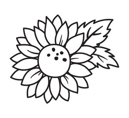  Outlined Black and White Sunflower with Leaves Vector Illustration.