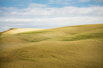 Fototapeta na wymiar rural landscape in tuscany